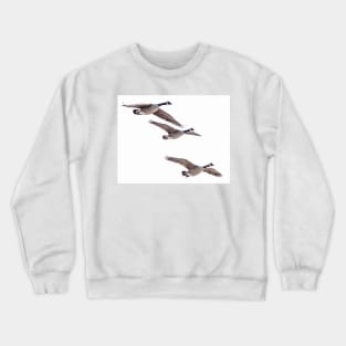 Canada geese in flight Crewneck Sweatshirt